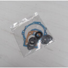 Dichtungssatz komplett f&uuml;r 921-2647