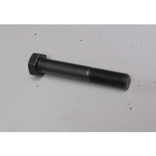 Schraube M16x100 passend f&uuml;r 044-176