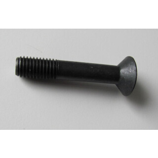 Schraube mit S-Mutter M12